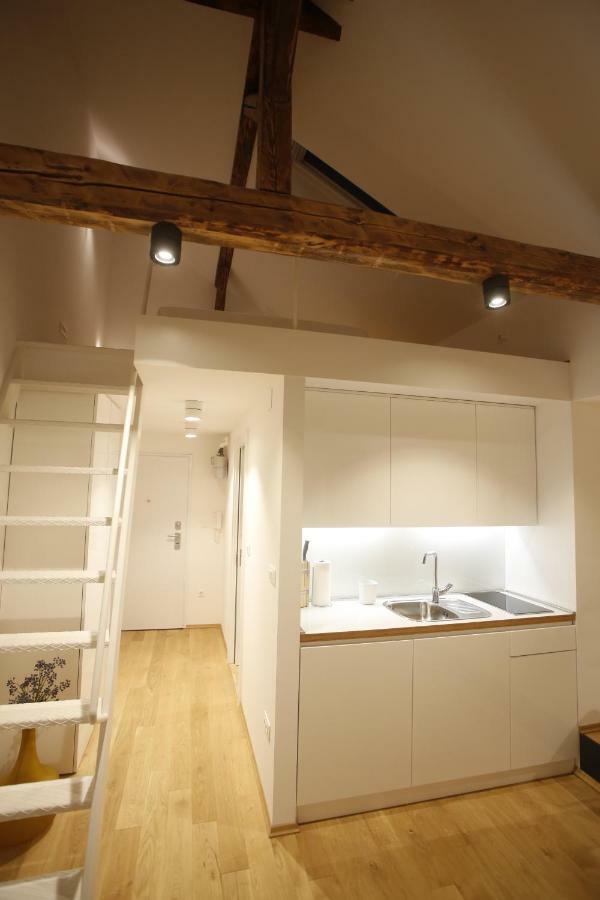 זאגרב Studio Apartman Olaf מראה חיצוני תמונה